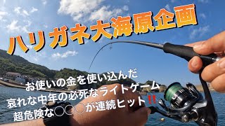 嫁からのおつかいのお金をハリガネが使ってしまった様です。