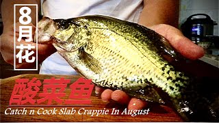 【8月大花花Crappie Fishing】北美淡水第一鲜，酷热盛夏夜，亲厨一锅酸菜鱼消消暑Catch ，Fillet \u0026 Cook Slab Crappie in THIS HOT August