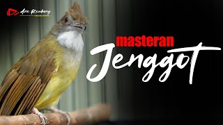 MASTERAN CUCAK JENGGOT GACOR BESETAN PEDES