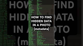 How To View Metadata 5 Osint Advent Tools Techniques