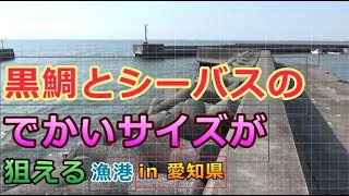 黒鯛釣りフカセ・落とし込み＆シーバス釣り河口堤防の釣り場紹介 in 愛知県