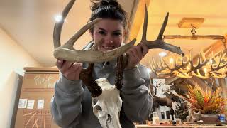 Deer Season Update! Day in the Life \u0026 Redneck European Mounts on my Alabama Deer!