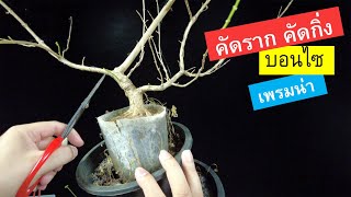 how to make bonsai