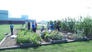 Why Springdale? Food Corps at Hellstern Middle School