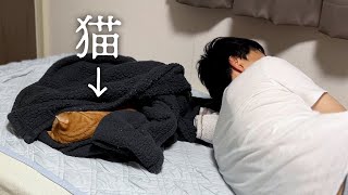 【あるある】猫に布団をとられた社畜飼い主