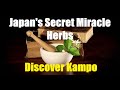 Healing Herbs of Japan - A Journey into Kampo Medicine | Pure Holistic Harmony