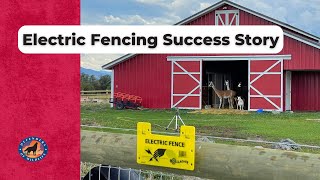 Do electric fences help protect livestock?