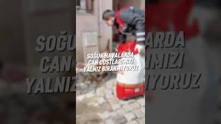 SOĞUK HAVALARDA CAN DOSTLARIMIZI YALNIZ BIRAKMIYORUZ