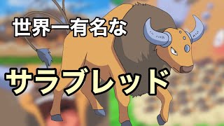 [ポケモン解説]サトシのケンタロス　#アニポケ #ポケモン