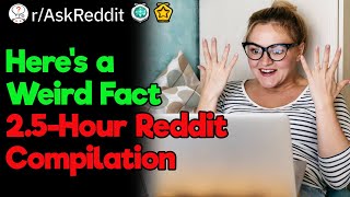Weirdest Facts in the World (2.5 Hours Reddit Compilation)