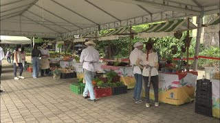 Los jueves regresan los mercados campesinos a 21 parques de Medellín