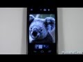 How To Save Pictures From Text Messages and Browser (for Android)