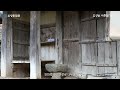 보성의 문화재 이종선 가옥 boseong cultural property lee jong seon s house