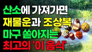 설날 산소에 이 음식 두면 조상복과 재물운 폭발! 설 명절 꼭 알아야 할 풍수 비법 🍎💰행운을 끌어당기는 최고의 성묘 음식! 조상님을 감동시키는 비밀 🧧