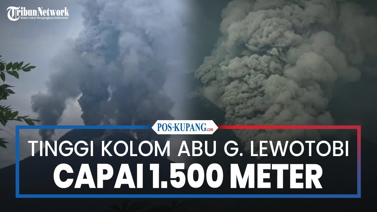 Gunung Lewotobi Laki-laki Erupsi,Tinggi Kolom Abu Capai 1.500 Meter ...