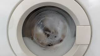 Wash In With @servisquartz6676 Phillips Whirlpool AquaLine AWG770/7 - Rapid 40c (Programme 5)