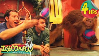 Fling the Capuchin: Monkey Fun Adventures! | Zoboomafoo - WildBrain | Full Episodes for Kids