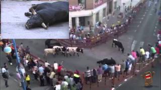 Head-on collision between two bulls, one dies - Madrid Leganes 2011