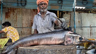 BIG PANI KOLA FISH🦈🗡🔥 KASIMEDU FISH CUTTING ⚡️VADACHENNAI MEENAVAN ⚡️