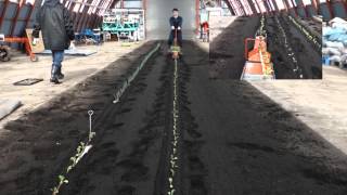 How to use transplanter