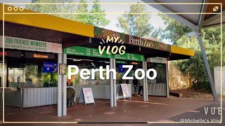 [澳洲生活] Perth Zoo 伯斯動物園一日遊