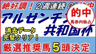 アルゼンチン共和国杯2019予想【厳選推奨馬 決定】自信の５頭 消去データ完璧クリア！過去馬券内ゼロの超強力 絶望データで11頭が脱落！