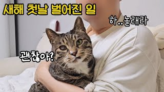 많이 아프고 가위에 눌렸던 날!! 남집사와 고양이 행동에 엉엉 울었어요 ㅠㅠ : 홈캠에 찍힌 놀라운 장면