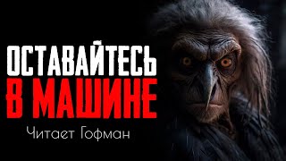 Оставайтесь в машине | Страшные истории на ночь