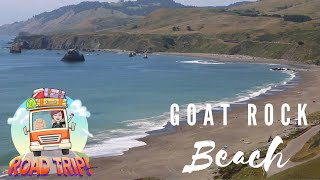 California Coastal Road Trip: Goat Rock Beach