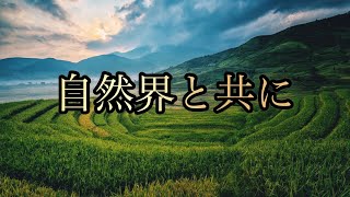 【鍵】バシャール【自然と共に生きている】