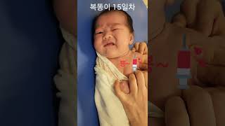 신생아 BCG접종하는 복똥이