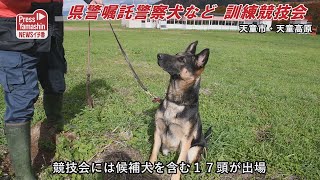 県警嘱託警察犬など 訓練競技会　天童市・天童高原