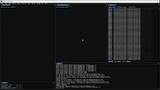 Aira Force Linked raw binary source level debugging