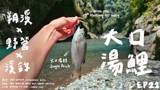 【庫斯比】第21集 夢幻美景配上夢幻郵票！永生難忘的2天1夜台灣東部野營朔溪之旅 ＃大口湯鯉 ＃野營 ＃路亞