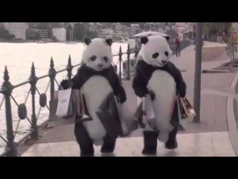 Appunti: Lo spot con i panda maleducati