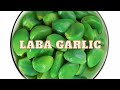 Resep Acar bawang putih anti gagal‼️|| LABA GARLIC ||  Mukbang viral China #resep #chinesefood