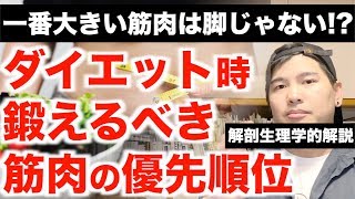 【減量期】体脂肪を燃やすために鍛えるべき筋肉の優先順位。