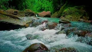 Focus and concentration River Sounds Stress reduction Meditation uninterrupted river sounds