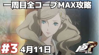 【P5R】一周目全コープMAX攻略#3 (4月11日)【ペルソナ5ザ･ロイヤル】