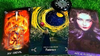 Toàn Bộ Thế Giới Suy Nghĩ Của Họ Về Bạn Thay Đổi 1 Cách Chóng Mặt / Tarot Reading