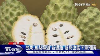 台東「鳳梨釋迦」新通路!超商也能下單預購｜TVBS新聞