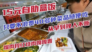 沈阳15元自助盒饭，只要不浪费40种菜随便吃，溜肉段红烧肉嘎嘎香