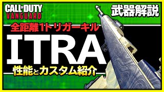 【武器紹介】理論上最強AR『ITRA BURST』の性能を解説!!全距離1トリガーキル可能な最強カスタムも紹介！【CoD:Vanguard】