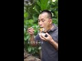 厦门同安封肉做法 闽南家常菜 tongan pork recipe