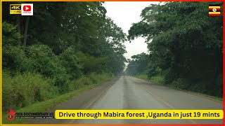 Uganda's Biggest Natural Forest - Mabira Forest Kampala Jinja Highway #Documentary#Museven