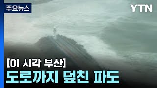 [제보영상] 방파제 넘어 파도치는 부산 영도구 하리항 / YTN