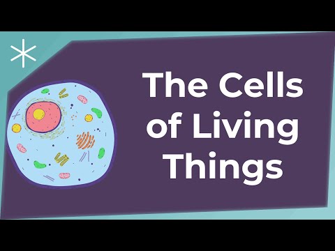 Are there living things that don’t have cells?
