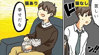 【漫画】猫を飼うとどんな生活になるのか？【マンガ動画】