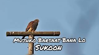 Mujhko Barsaat Bana Lo (slowed & reverb)