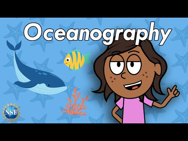 Biological Oceanography Cartoon Clipart Dolphin Marine Biology